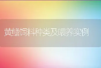 黄鳝饲料种类及喂养实例