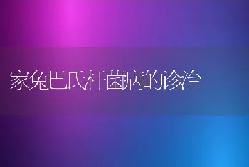 家兔巴氏杆菌病的诊治