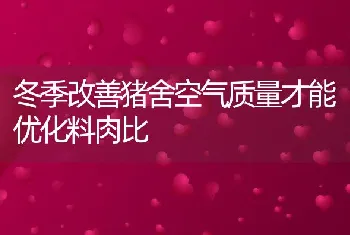 湖北天门杜桥湖养殖专业合作社鱼蚌混养创高效