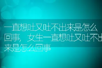 一直想吐又吐不出来是怎么回事，女生一直想吐又吐不出来是怎么回事