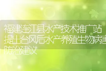 福建连江县水产技术推广站提出台风后水产养殖生物病害防治建议