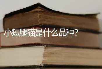 安第斯山脉有什么特点？