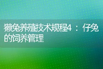 獭兔养殖技术规程4：仔兔的饲养管理