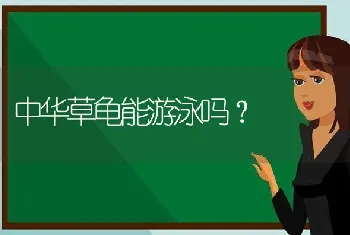 中华草龟能游泳吗？