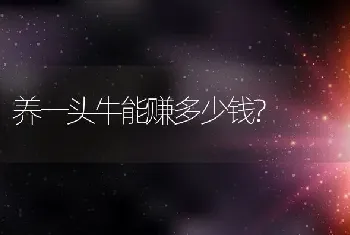 养一头牛能赚多少钱?