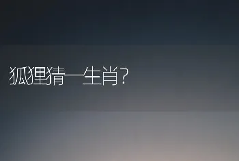 狐狸猜一生肖？