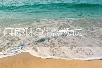 鲤鱼出血病的防治