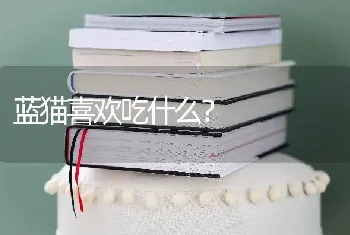 蓝猫喜欢吃什么？