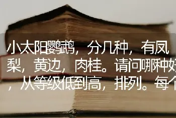 小太阳鹦鹉，分几种，有凤梨，黄边，肉桂。请问哪种好，从等级低到高，排列。每个品种价钱是多少钱？