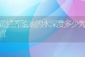 黄鳝养殖池的水深度多少为宜