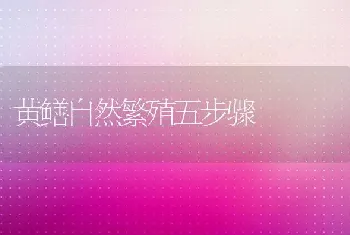 黄鳝自然繁殖五步骤