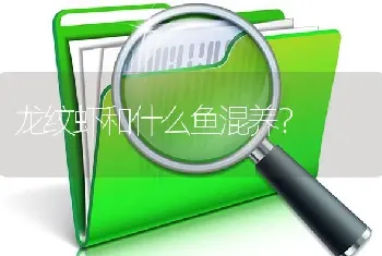 龙纹虾和什么鱼混养？