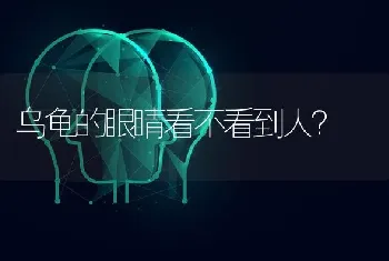 乌龟的眼睛看不看到人？