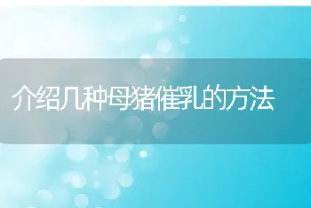 介绍几种母猪催乳的方法