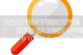 成吉思汗鱼和锦鲤能混养嘛？ 或者蓝鲨和锦鲤能混养嘛？ 100*45*35的缸样几条合适？