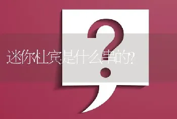 迷你杜宾是什么串的？