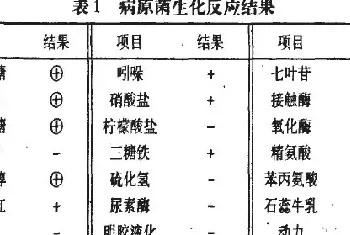 狐狸致病性大肠肝菌的分离与鉴定