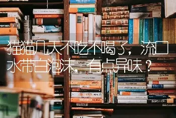 猫猫几天不吃不喝了，流口水带白泡沫，有点异味？