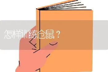 怎样训练仓鼠？