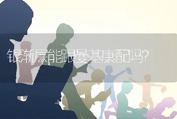 萨摩耶什么时候算是成年？