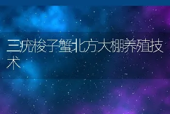 三疣梭子蟹北方大棚养殖技术