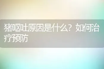 猪呕吐原因是什么？如何治疗预防