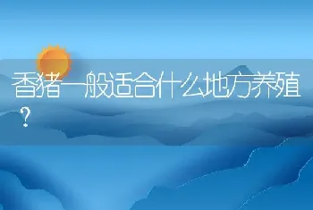 香猪一般适合什么地方养殖？