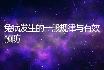 兔病发生的一般规律与有效预防