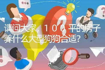 请问大家，100平的房子养什么大型狗狗合适？