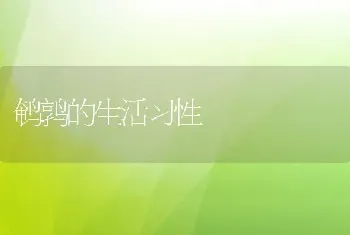 鹌鹑的生活习性