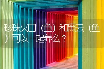 珍珠火口（鱼）和黑云（鱼）可以一起养么？