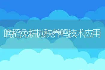 晚稻免耕抛秧养鸭技术应用