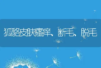 狐貉皮肤瘙痒、断毛、脱毛