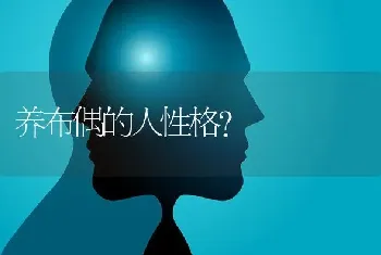 养布偶的人性格？