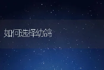 软腐病防治方法