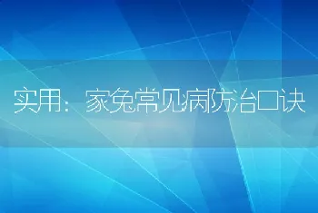 实用：家兔常见病防治口诀