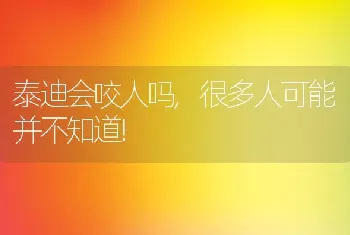 泰迪会咬人吗，很多人可能并不知道!