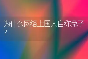 为什么网络上国人自称兔子？