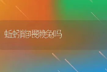 浙江衢江市传授养殖技术抓好鱼病防治服务渔业生产