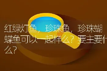 红绿灯鱼，珍珠鱼，珍珠蝴蝶鱼可以一起样么？要主要什么？