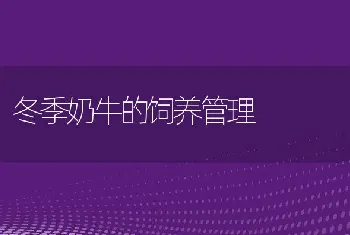 2012鱼混养技术推荐：以鱼养鱼养殖新技术