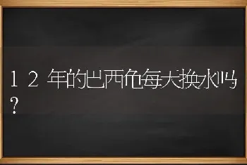 12年的巴西龟每天换水吗？