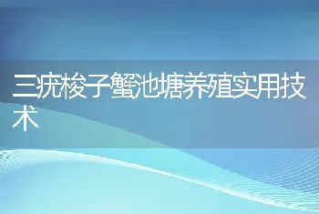 三疣梭子蟹池塘养殖实用技术