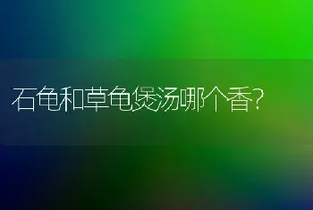 狗狗体温低拉稀不吃东西只哼哼没精神怎么办？