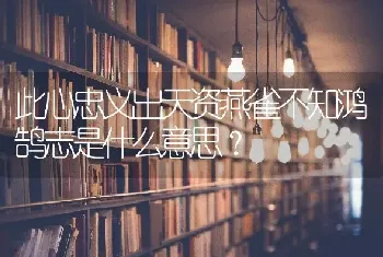 公狗取什么名字好听？