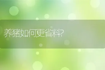 养猪如何更省料?