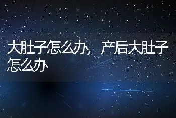 大肚子怎么办，产后大肚子怎么办