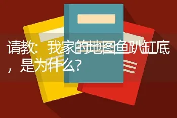 请教:我家的地图鱼趴缸底，是为什么？