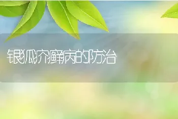 银狐疥癣病的防治