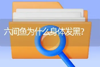 六间鱼为什么身体发黑？